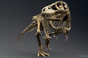Unreal Engine – Tyrannosaurus Rex Sue Skeleton UE9219
