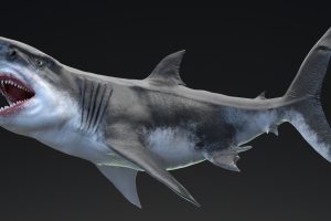 Unreal Engine – MEGALODON Sea Monster Series 5 UE9220