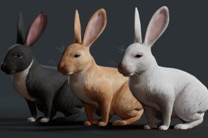 Unreal Engine – Realistic Rabbit UE9234