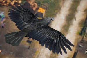 Unreal Engine –  Animalia Raven UE9252