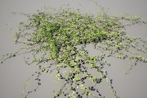 Unreal Engine – Vines 3D Models UE8939
