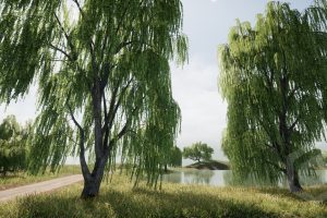 Unreal Engine – Trees Willow tree UE8940