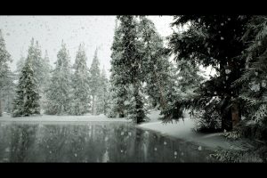 Unreal Engine – Spruce forest winter and summer UE9447