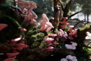 Unreal Engine – Forest Fungi Mushroom Pack UE9474