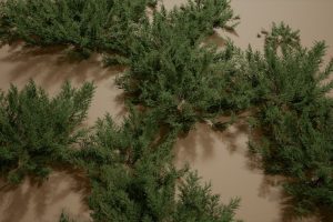 Unreal Engine – Foliage VOL 10 Yard Plants Nanite and Low Poly UE9108