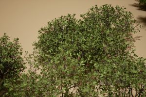Unreal Engine – Foliage VOL 11 Bushes (Nanite and Low Poly UE9109
