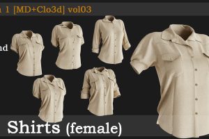5 Shirts(female)[fbx+obj+zprj+blend] vol03 C5987