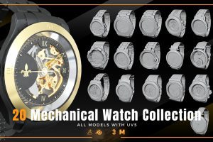 20 Mechanical Watch Collection C12025
