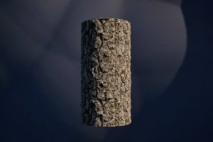 Unreal Engine – Birch Bark PBR Materials Pack UE10762