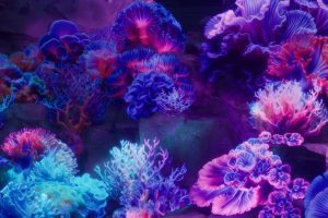 Unreal Engine – Underwater Coral Pack 01 UE10249