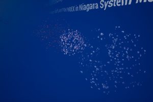 Unreal Engine – Stylized Fishes Collection Niagara UE10143