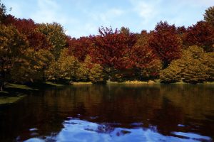 Unreal Engine – Trees Red Oak Tree UE10664