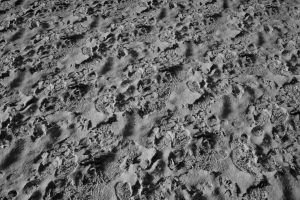 Unreal Engine –  Fresh Snow UE10748