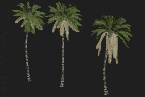 Unreal Engine – Tree Pack Vol 1 UE10915