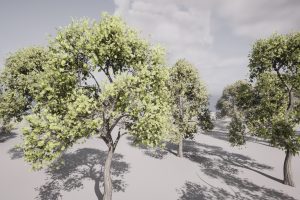 Unreal Engine – HighPoly Tree Model UE10887