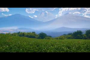 Unreal Engine – 8K Hills Landscape Pack UE10269