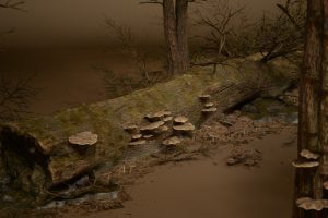 Unreal Engine –  Foliage VOL 32 Dead Forest Nanite UE10468