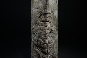 Unreal Engine – Old Broken Pillar UE10584