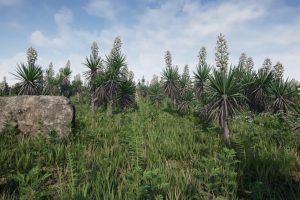 Unreal Engine – Yucca Pack Yucca filamentosa UE10652