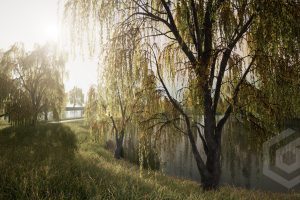 Unreal Engine – Trees Willow tree UE10713