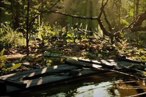 Unreal Engine – 3D Scanned Photorealistic Pack Vol 01 UE10202