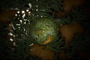 Unreal Engine – Grass Material UE10785
