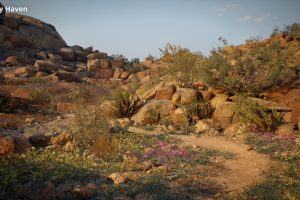 Unreal Engine – Namaqualand Environment and Asset Pack UE10368