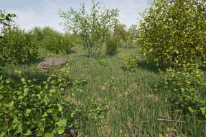 Unreal Engine – Hazel Bushes UE10621