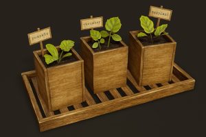 Unreal Engine – Growing Plants UE10622