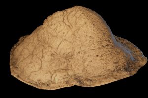 Unreal Engine – Termite Mounds Vol 1 UE10714