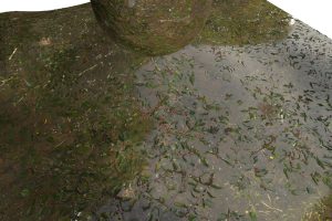 Unreal Engine – SWAMP VOL1 AMAZON UE10830