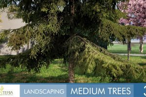 Unreal Engine – Landscaping Medium Trees 3 UE10446