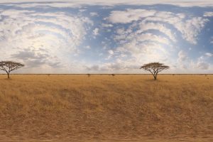 Unreal Engine – HDRI Savanna Panoramas UE10743